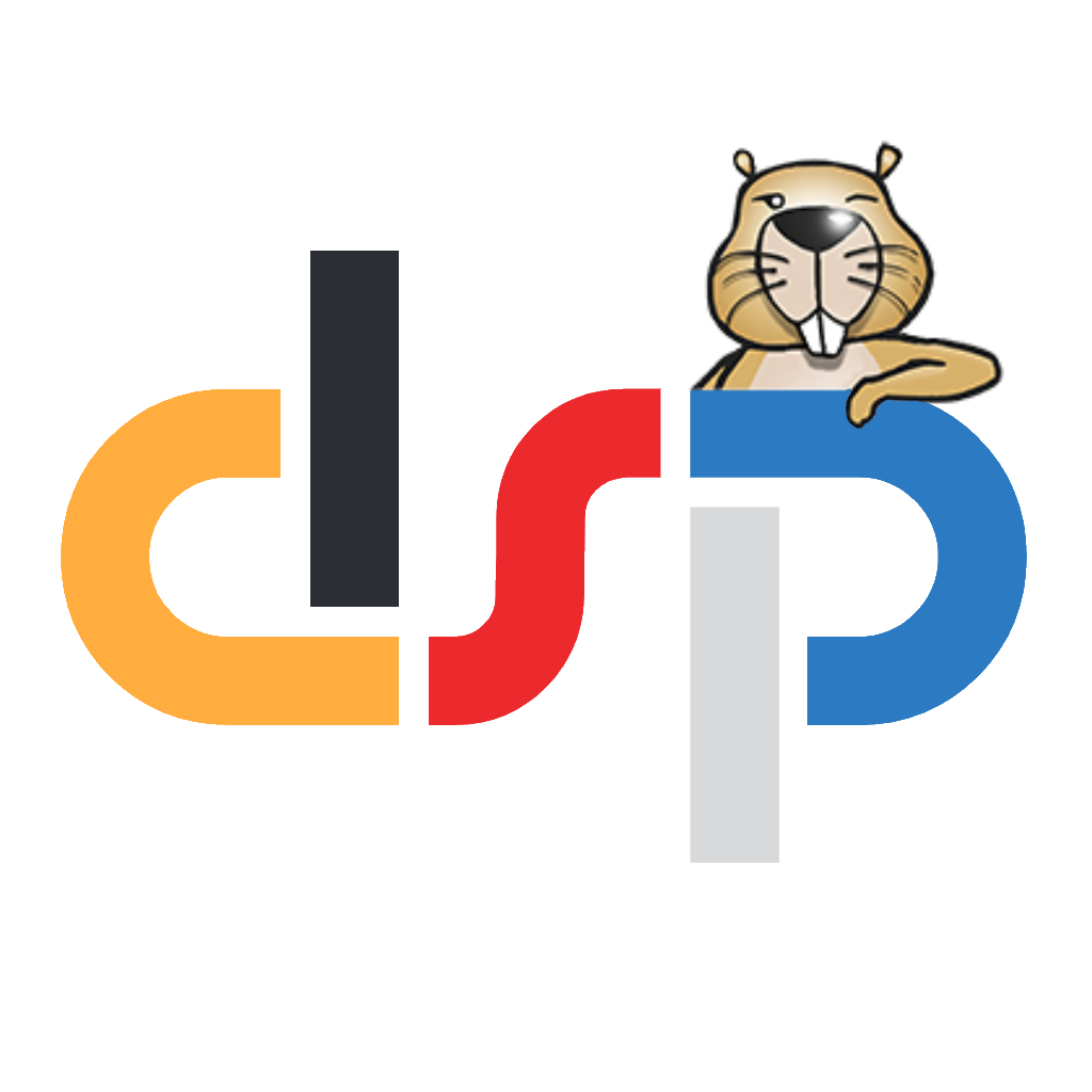 DSP Informatik Biber