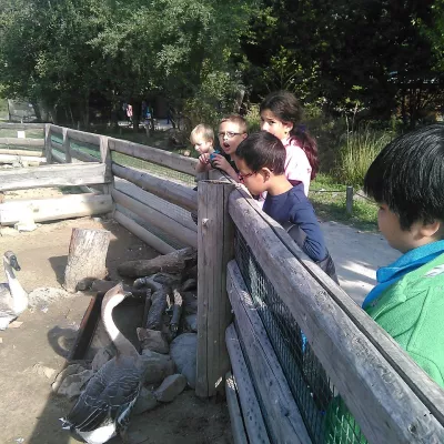 Ausflug in den Zoo der Klassen 1 und 4