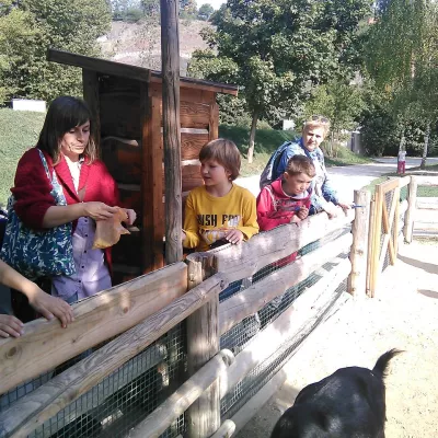 Ausflug in den Zoo der Klassen 1 und 4