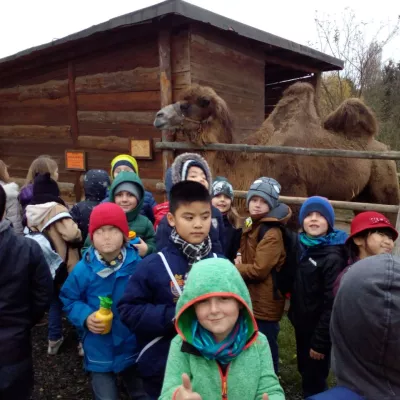 Die Kinder unserer Nachmittagsbetreuung waren im Zoopark Zájezd!