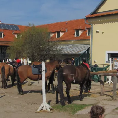 Besuch des Bauernhofs Toulcův dvůr