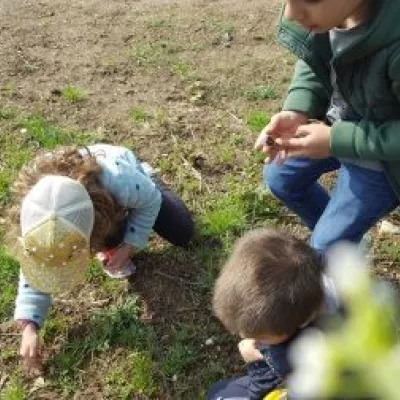 Spaziergang zu den Schafen