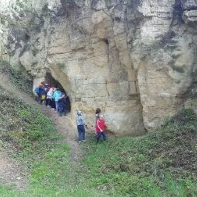 Spaziergang zu den Schafen