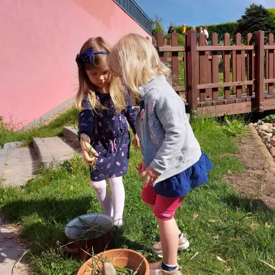 Bienentränke – Kindergartenkinder bauen Wasserstellen für Bienen