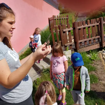 Bienentränke – Kindergartenkinder bauen Wasserstellen für Bienen